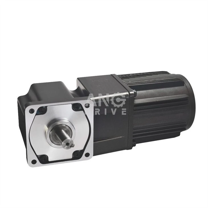 AC right angle solid shaft gear motor