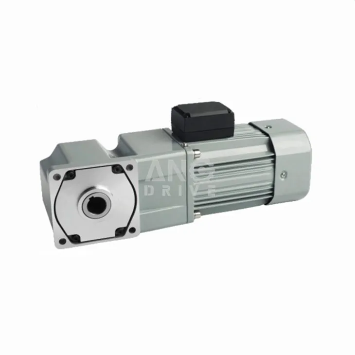 AC right angle hollow shaft gear motor with fan