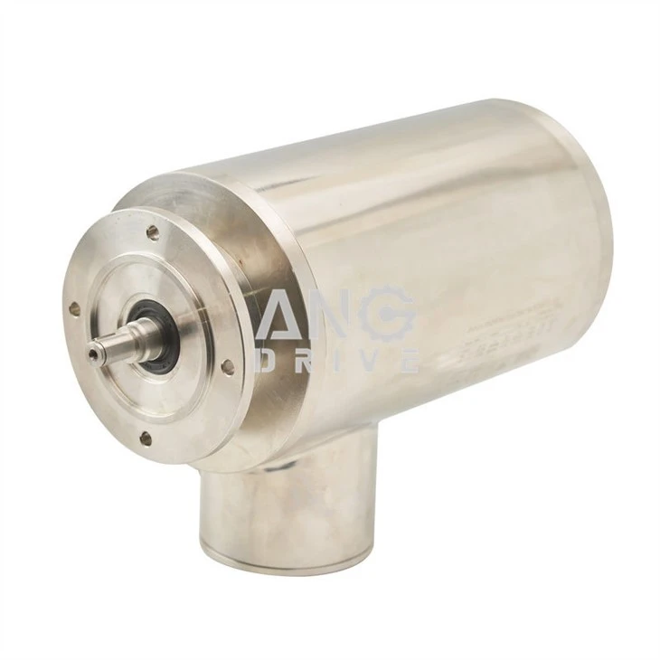 IP69K SUS304 motor