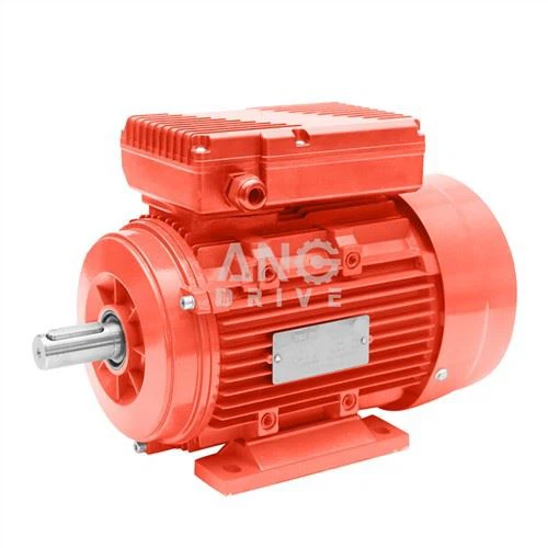 IEC Motor od lijevanog željeza