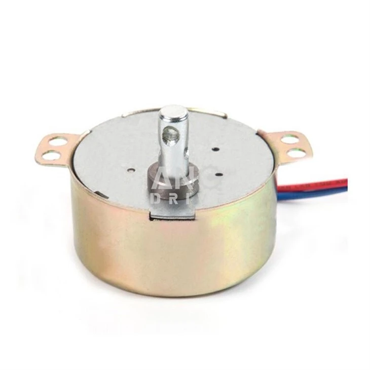 AC Synchronous Electric Motor