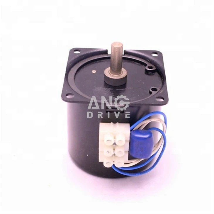 AC Synchronous Electric Motor
