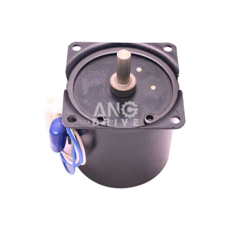 AC Synchronous Electric Motor